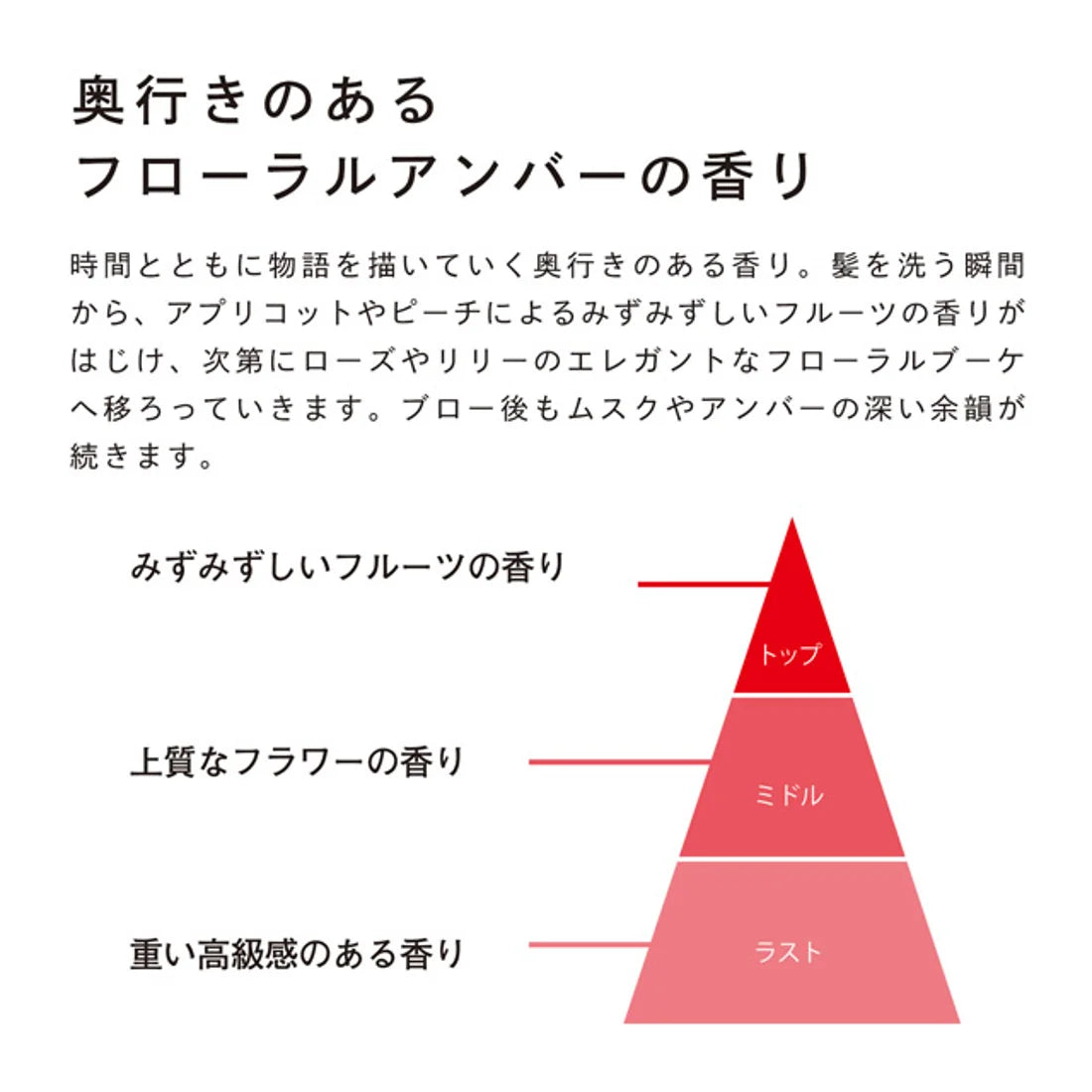 ビューテックシャンプー