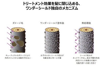 ワンダーシールド