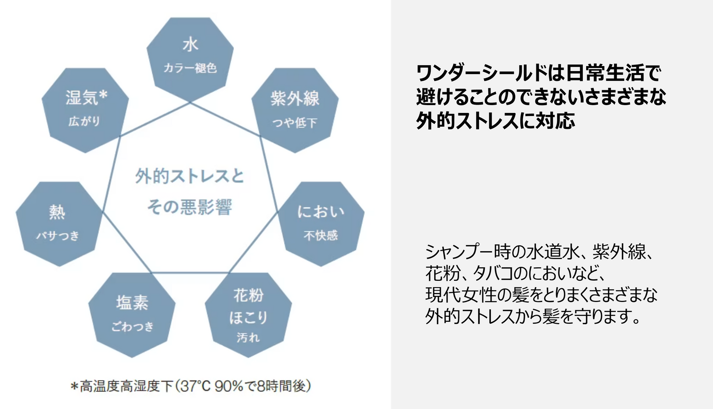 ワンダーシールド