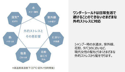 ワンダーシールド